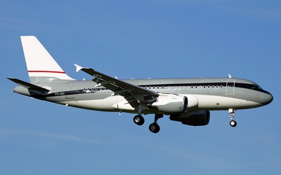 pal_a319_acj.jpg