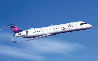 pal_crj700.jpg