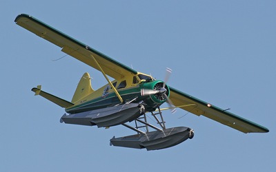 pal_dehavilland-dhc2.jpg