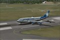 miniature