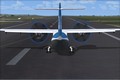 miniature